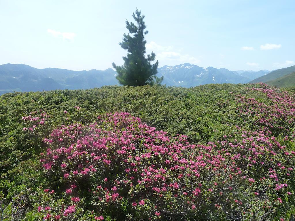 Appartement Wasserer Valle Aurina Szoba fotó